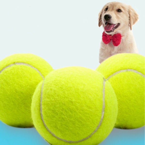 3 x 24cm Giant Pet Ball Dog Toy